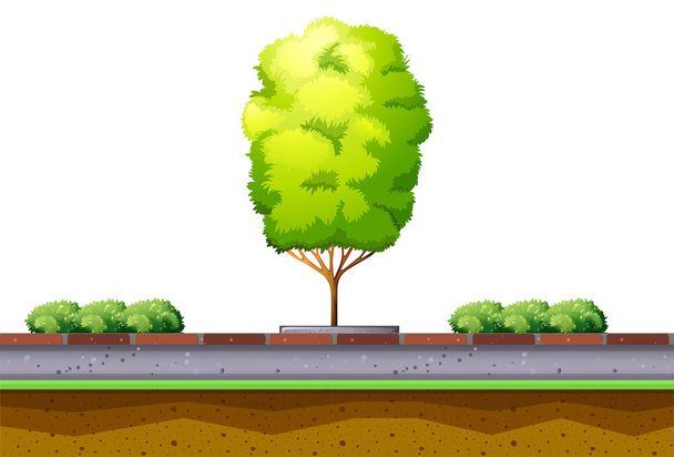 Tree and bush on the street - Vector, Image