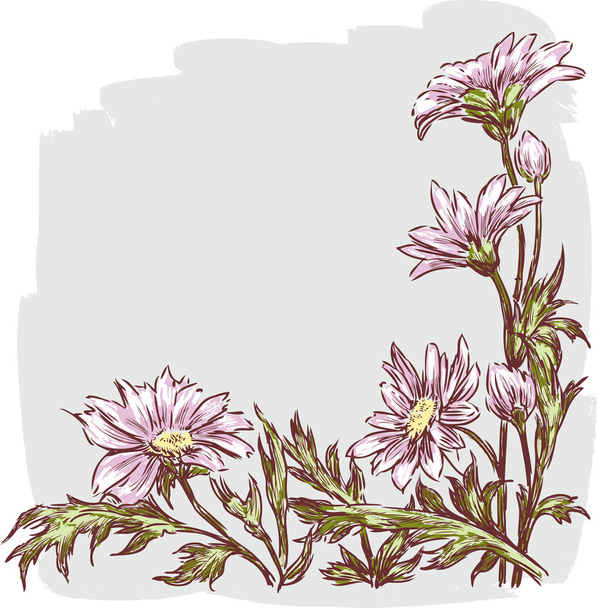 drawn garden daisies - Vector, Image