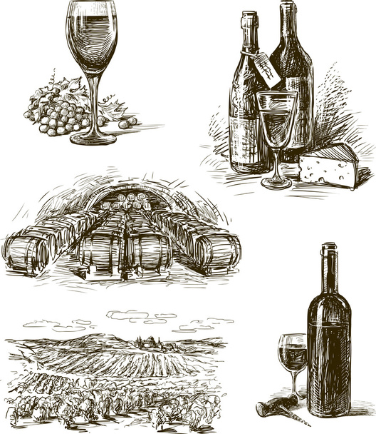 σταφυλιών κρασιού εικόνες - Διάνυσμα, εικόνα