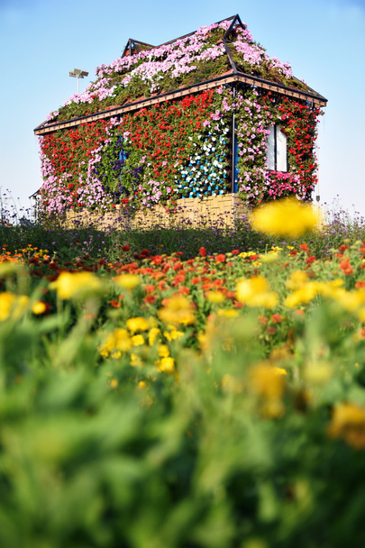 フラワーハウス ドバイ奇跡の庭、ドバイ、アラブ首長国連邦での完全 - 写真・画像