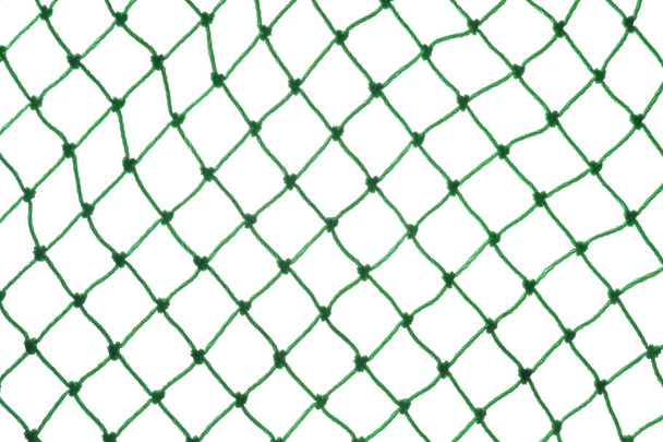 rete verde su sfondo bianco - Foto, immagini