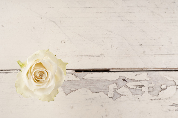 Single red rose over white wooden background. - Foto, imagen