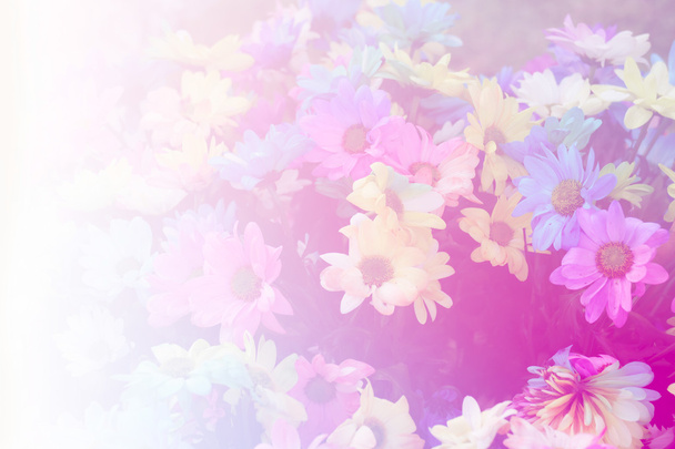 букет цветущих цветов
 - Фото, изображение