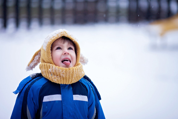 Sweet little boy, catching snowflakes in the park, playground, w - Фото, изображение