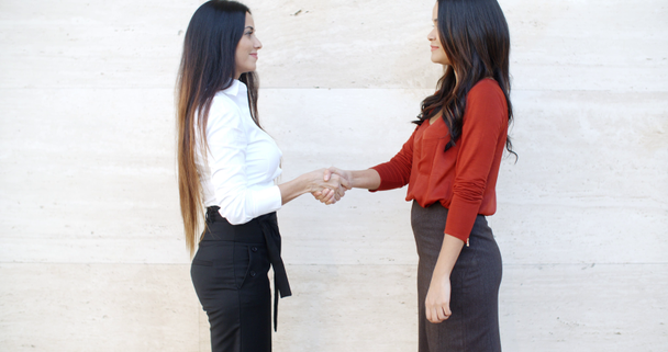 Businesswomen estrechando la mano al aire libre
 - Imágenes, Vídeo