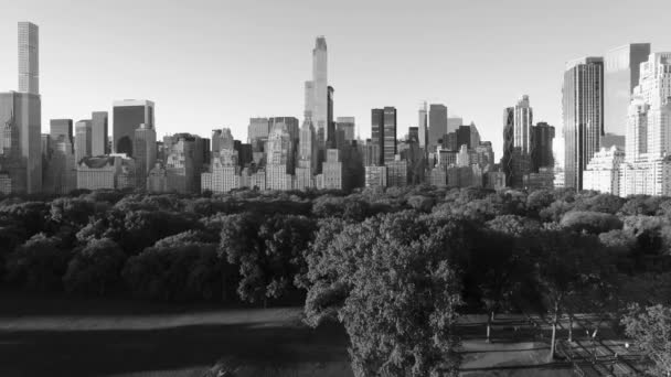 Κτίρια στον ορίζοντα της Νέας Υόρκης - Πλάνα, βίντεο