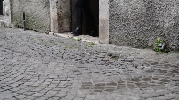 Gente caminando nazi
 - Metraje, vídeo