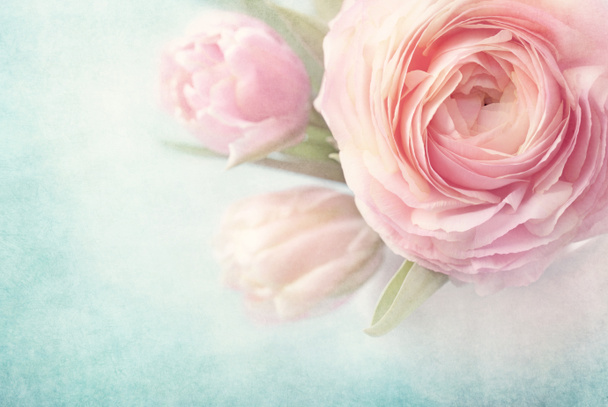 Flores rosadas
 - Foto, imagen