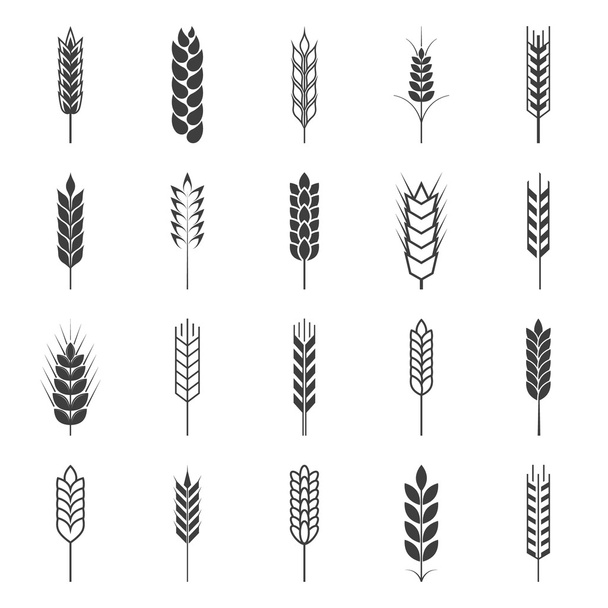 Set of simple wheat ears icons - Вектор,изображение
