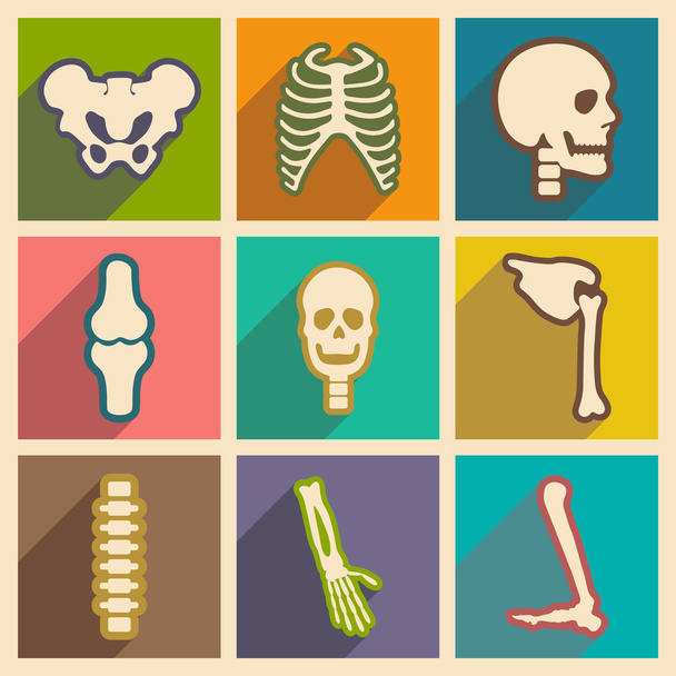 flache Ikonen mit langem Schatten menschliches Skelett - Vektor, Bild