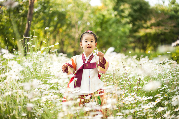 Criança coreana vestindo um Hanbok tradicional, jardim de flores
 - Foto, Imagem