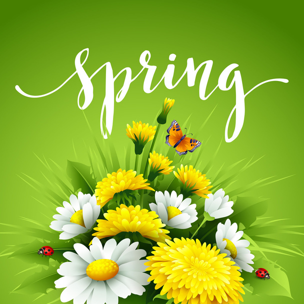 Fondo fresco de primavera con hierba, dientes de león y margaritas. Ilustración vectorial
 - Vector, imagen
