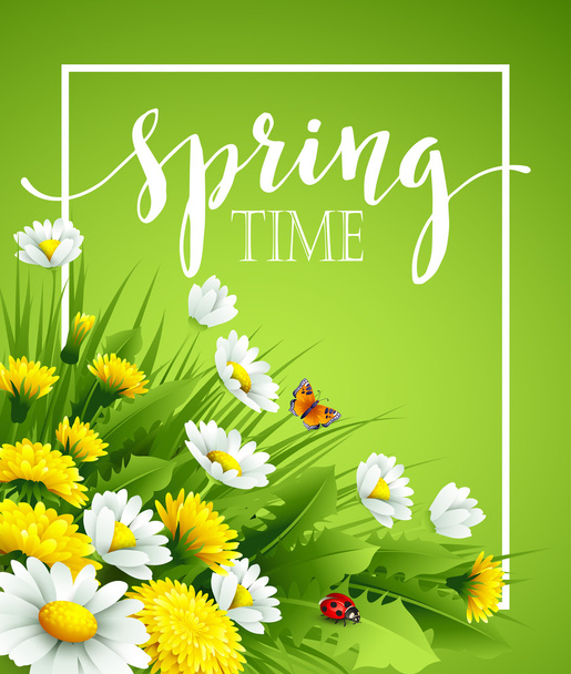 Fresh spring background with grass, dandelions and daisies. Vector illustration - Vector, Image
