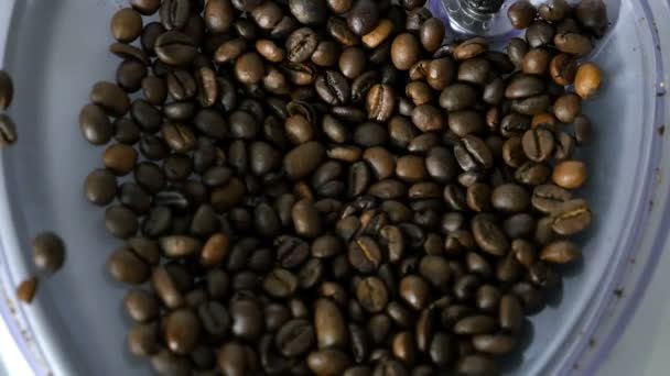 Proces mielenia kawy w ekspres do kawy - Materiał filmowy, wideo
