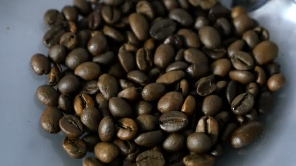 コーヒー マシンのコーヒーを研削加工のプロセス - 映像、動画