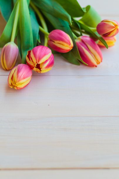 Art abstract background spring tulips wooden design - Foto, Imagem