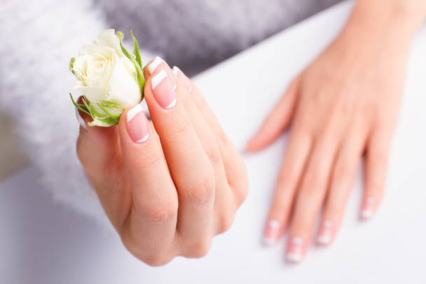 Beautiful female hands with french manicure. - Photo, Image