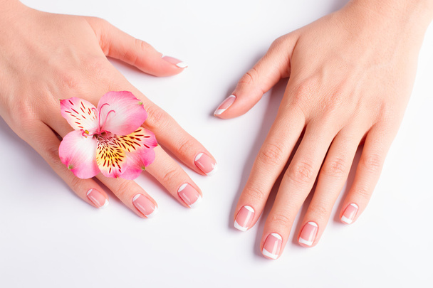 Piękne różowe frezja z franch manicure. - Zdjęcie, obraz