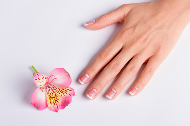 Delikatne różowe frezja z franch manicure. - Zdjęcie, obraz