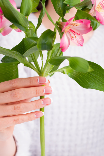 Hermosa mano femenina con manicura franch sostiene una flores
. - Foto, imagen