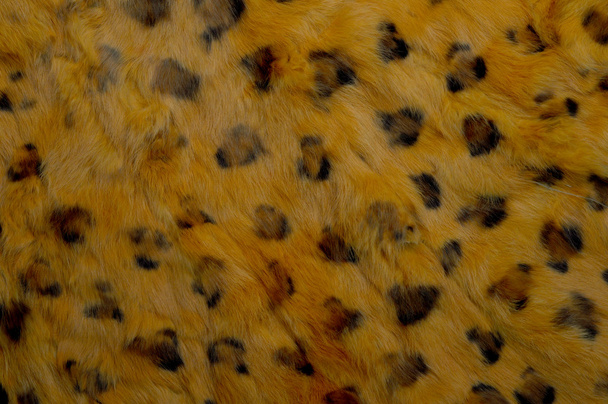 Textura de piel de leopardo
 - Foto, imagen