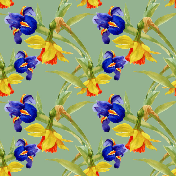garden blooming iris flowers - Foto, afbeelding