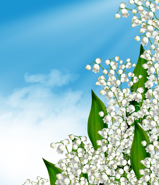 Flowers lily of the valley and blue sky with clouds - Photo, Image
