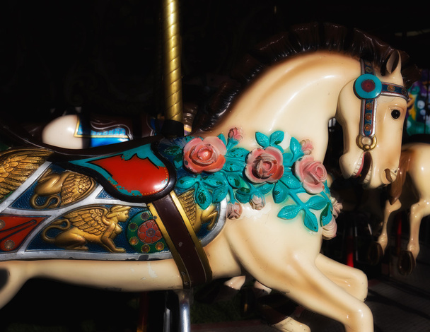 Feliz ir caballo redondo
 - Foto, imagen