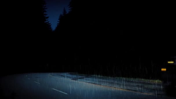 Autos in der Nacht auf Waldstraße bei Regenwetter - Filmmaterial, Video