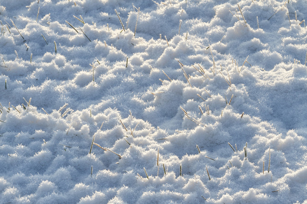 lumen rakenne, talvi on tulossa
 - Valokuva, kuva