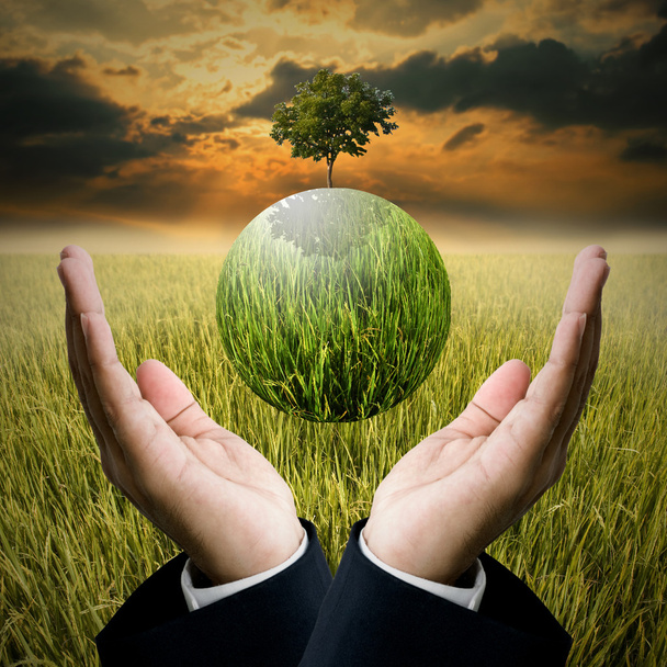 Time to save the environment concept, Businessman hold the green - Photo, Image