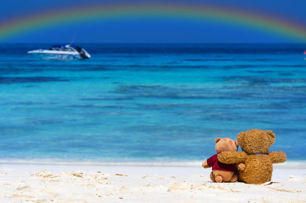 Dos Oso TEDDY color marrón sentado en la hermosa playa
 - Foto, imagen