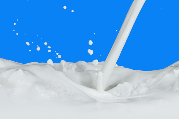 une éclaboussure de lait
 - Photo, image