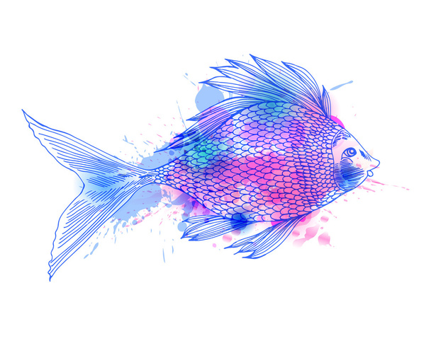 Vesiväri värikäs kala
 - Vektori, kuva