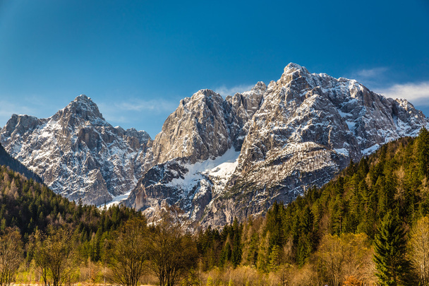 Mountain Range And Forest-Kranjska Gora,Slovenia - 写真・画像