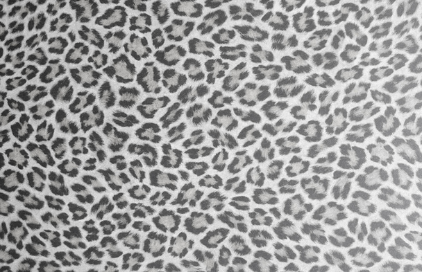 Leopard skin texture or background - Photo, Image