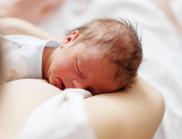 One day old newborn baby - Foto, Imagen