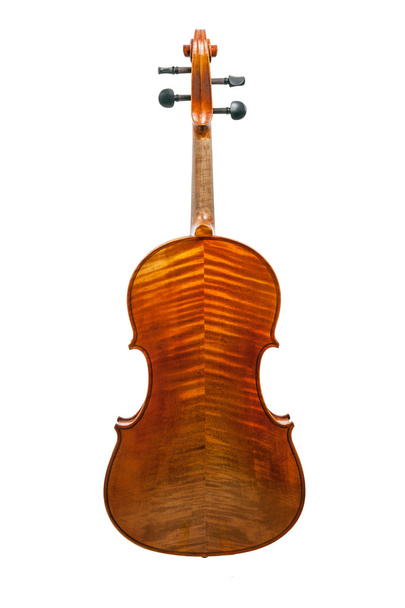 Viola classic string instrument - Photo, Image