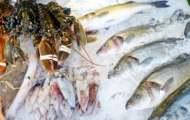 魚市場の氷の上の魚介類 - 写真・画像