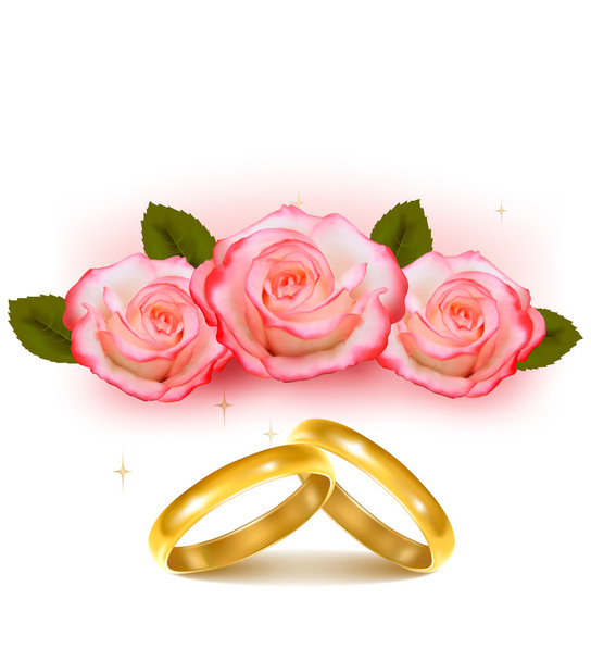 Gold wedding rings in front of three pink roses Vector - Вектор,изображение