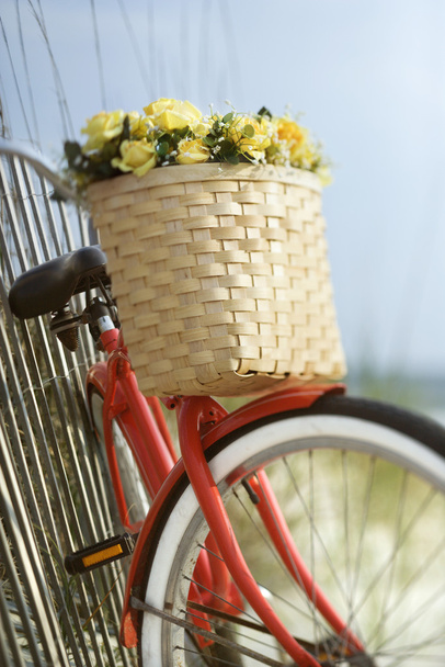 Bike with flowers. - 写真・画像
