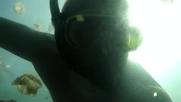 Tourist Snorkeling Swimming In Jellyfish Lake Palau Micronesia Pacific Ocean - Video, Çekim
