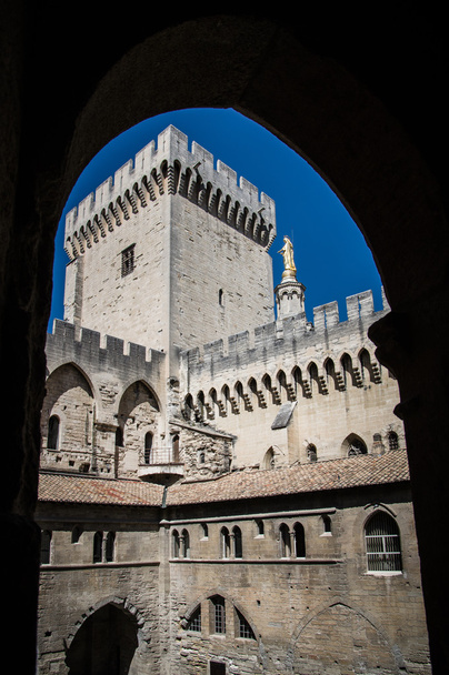 Avignon - View on Popes Palace, Provence, France - Fotografie, Obrázek