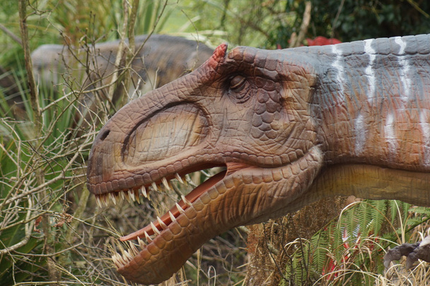 Allosaurus - Allosaurus fragilis - Foto, Bild