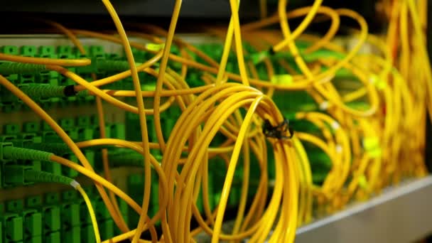 Kabely a připojení na síťovém serveru, dolly - Záběry, video