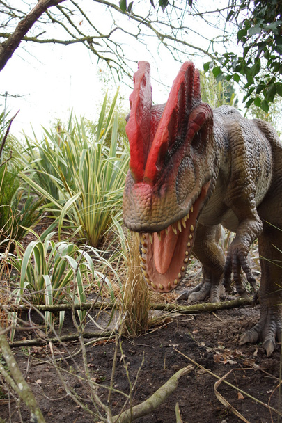 Dilophosaurus - Dilophosaurus wetherilli - Φωτογραφία, εικόνα