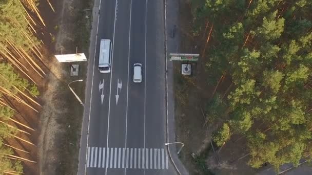 autoroute avec voitures en mouvement dans une forêt de pins
 - Séquence, vidéo