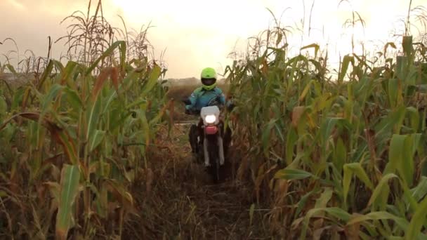 Female Biker Riding Through the Field - Filmati, video