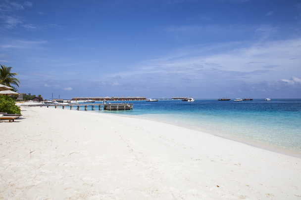 nice island in Maledivs - Fotoğraf, Görsel