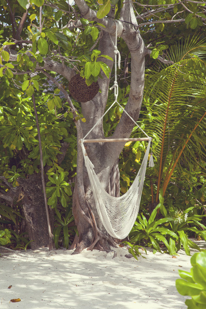 Hanging hammock in the Maldives - Фото, изображение